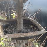 photo 2019-12-25 09-29-06