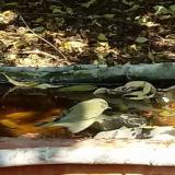 photo 2021-10-02 11-48-35 fitisufuzike