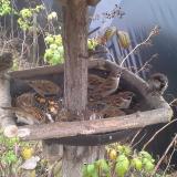 photo 2019-12-09 12-45-52