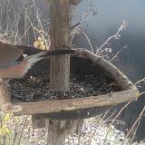 photo 2019-12-31 08-45-28