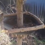 photo 2019-03-16 11-29-52