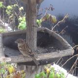 photo 2019-12-02 08-00-01