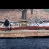 photo 2021-11-22 09-51-42