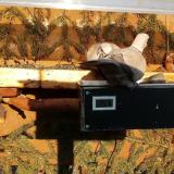 photo 2021-03-05 16-17-30