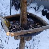 photo 2019-01-07 08-20-20