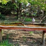 photo 2021-04-25 07-49-36