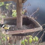 photo 2019-12-13 13-13-29