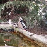 photo 2023-10-12 17-40-37