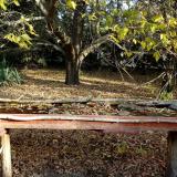 photo 2021-10-21 09-07-32