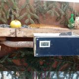 photo 2021-02-13 10-00-59