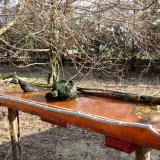 photo 2021-03-26 08-18-46