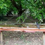 photo 2021-05-24 13-16-46