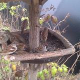 photo 2019-12-12 10-30-24