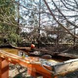 photo 2022-03-23 08-43-24