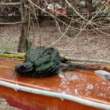 photo 2021-03-25 09-14-34 gr