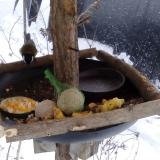 photo 2019-01-22 15-20-43