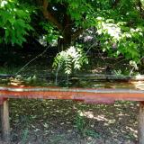 photo 2021-05-26 10-43-03