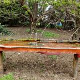 photo 2021-04-18 10-26-09