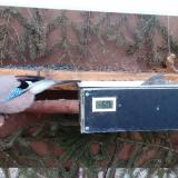 photo 2021-03-08 06-16-42