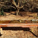 photo 2021-10-27 10-51-04