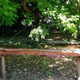 photo 2021-05-26 10-34-29