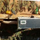 photo 2021-02-15 13-20-57