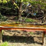 photo 2021-04-21 09-57-37