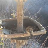 photo 2019-12-30 11-33-17