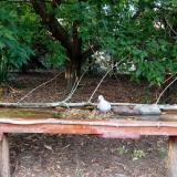 photo 2021-09-09 18-06-18