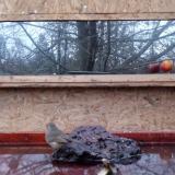 photo 2022-01-30 07-04-13