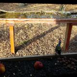 photo 2021-11-03 14-34-53