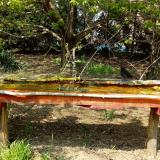 photo 2021-04-22 14-06-21