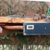 photo 2021-03-04 10-09-03