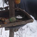 photo 2019-01-27 11-35-22