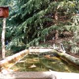 photo 2023-10-11 12-02-48