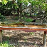 photo 2021-04-25 08-07-24