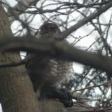 photo 2022-01-24 14-57-23 018