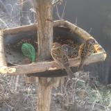 photo 2019-02-17 07-20-45