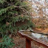 photo 2021-11-14 14-33-51