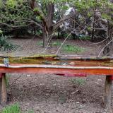 photo 2021-04-16 18-26-29