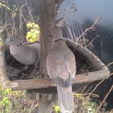 photo 2019-12-21 13-56-56