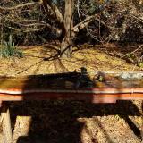 photo 2021-10-24 12-04-32