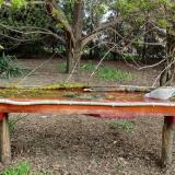 photo 2021-04-13 08-43-16