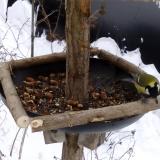 photo 2019-01-08 10-25-05