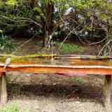 photo 2021-04-15 12-28-31