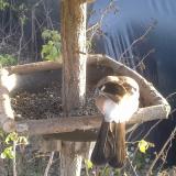 photo 2019-12-17 14-19-17