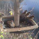 photo 2019-12-26 12-11-44