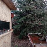 photo 2022-01-01 07-35-52