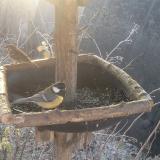 photo 2019-12-30 08-45-37