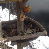 photo 2019-01-31 08-09-56